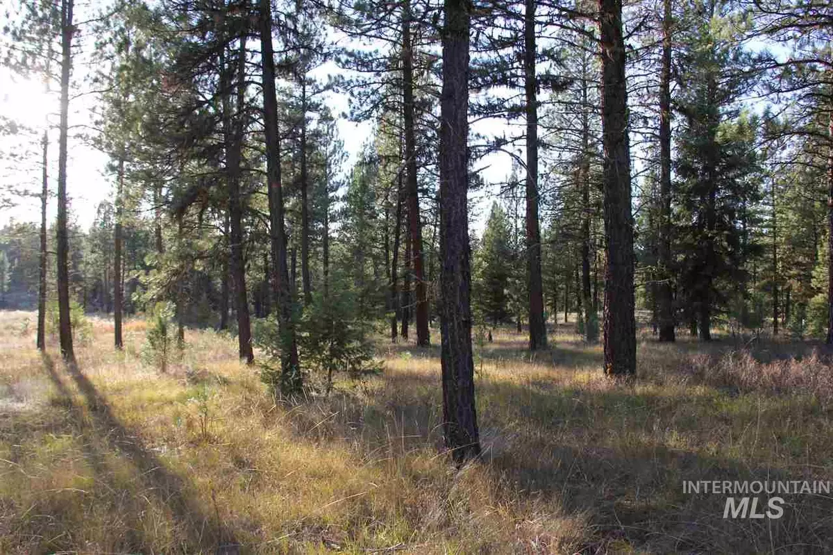 New Meadows, ID 83654,Lot 38 White Tail Court