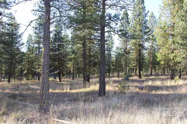 New Meadows, ID 83654,Lot 7 Timber Ridge Drive