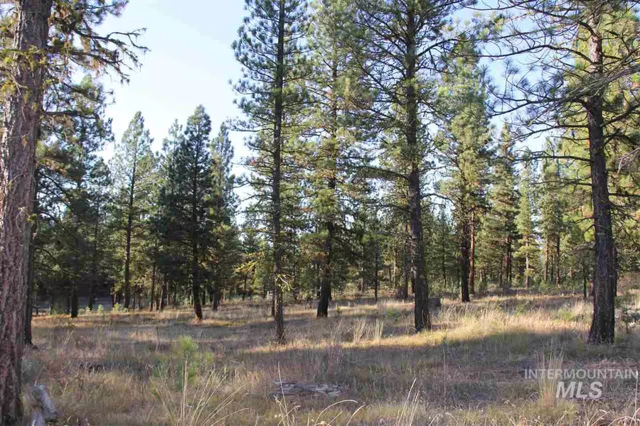 Lot 7 Timber Ridge Drive, New Meadows, ID 83654