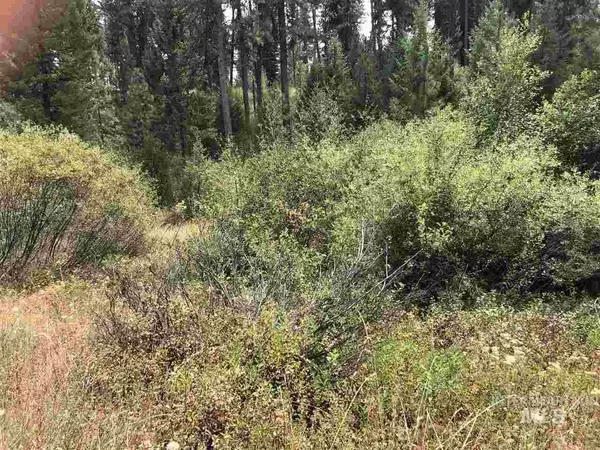 Garden Valley, ID 83622,TBD Hummingbird Lane