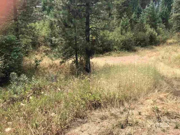 Garden Valley, ID 83622,TBD Hummingbird Lane