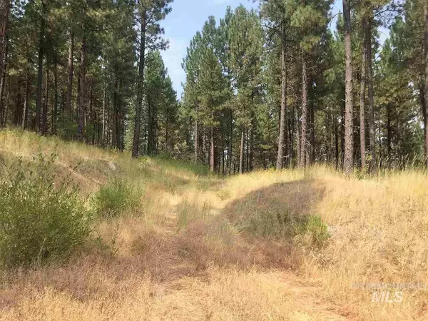 Garden Valley, ID 83622-0000,Lot 67 Shadow Ridge