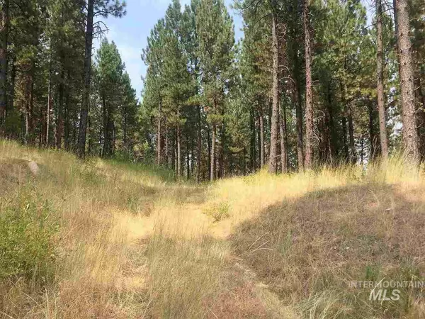 Garden Valley, ID 83622-0000,Lot 67 Shadow Ridge