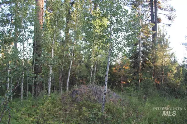 Mccall, ID 83638,Lot 12 Woodlands Drive