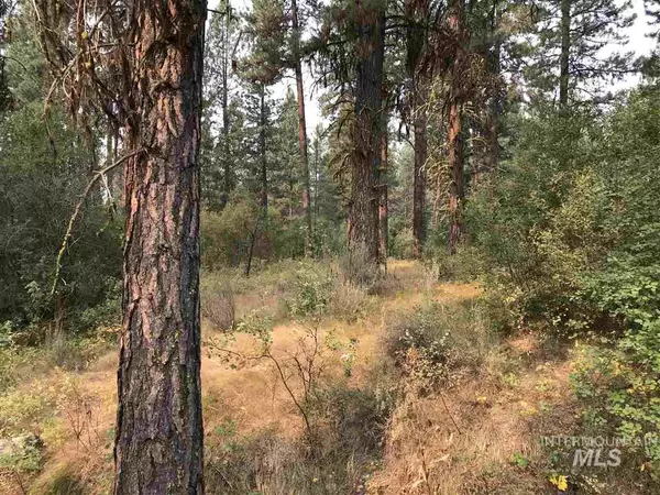 TBD Chipmunk Circle, Idaho City, ID 83631