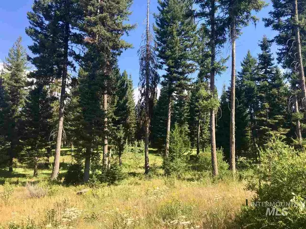 Mccall, ID 83638,TBD Sundance Drive