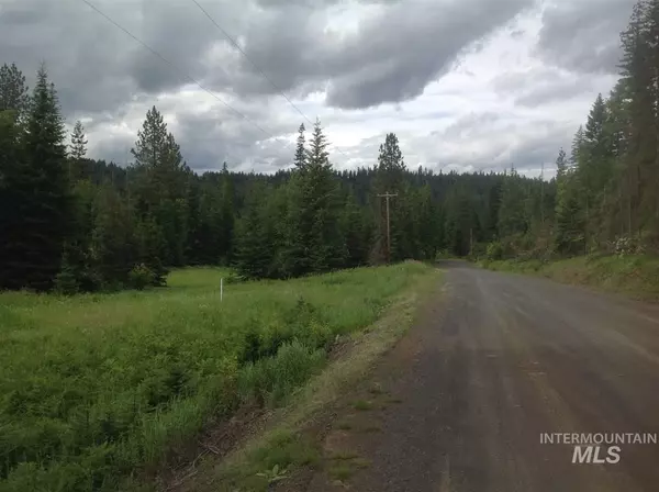 Parcel C Huckleberry Butte Rd, Orofino, ID 83544