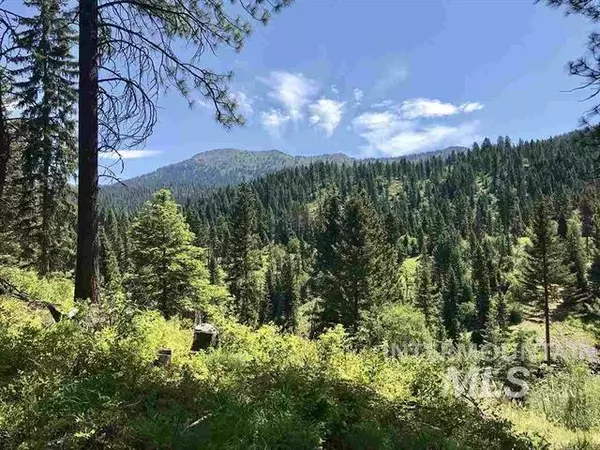 105 Silver Fox Spur  Parcel  3, Mccall, ID 83638