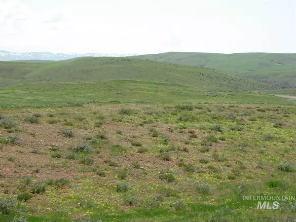 Council, ID 83612-0000,TBD Hidden Canyon Rd. Lot 4