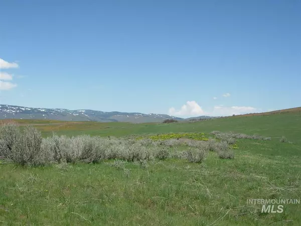 Council, ID 83612-0000,TBD Hidden Canyon Rd. Lot 4