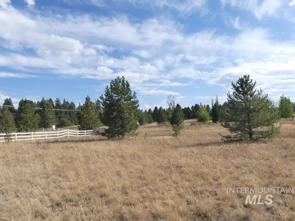 Mccall, ID 83638,955 Valley View Lane