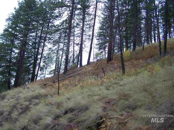 New Meadows, ID 83654,TBD Hillman Basin Rd