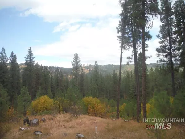 Idaho City, ID 83631,Lot 32 Elk Run Sub Blk 1