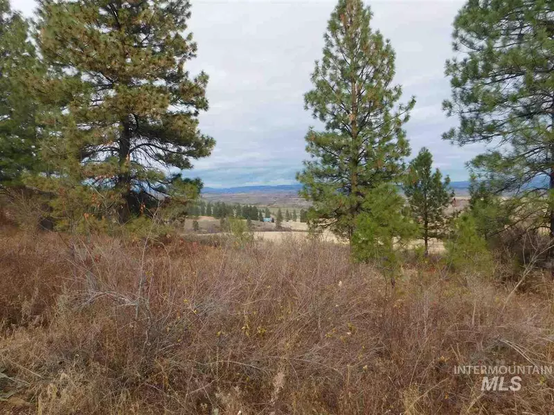 13 Elk Crossing Drive, Council, ID 83612