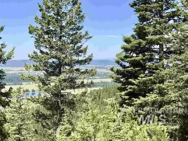 105 Silver Fox Spur, Mccall, ID 83638