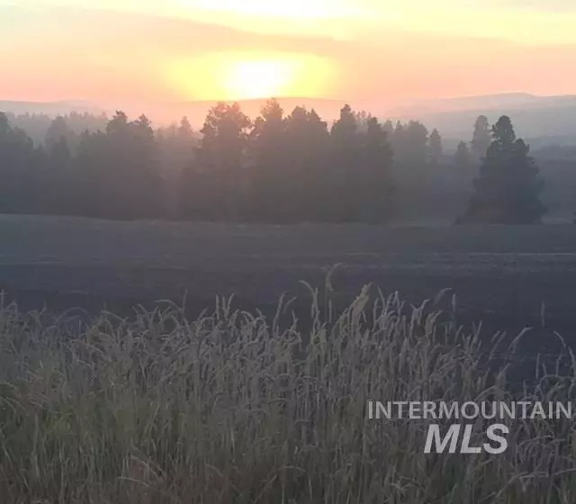 TBD Hatter Creek, Princeton, ID 83857