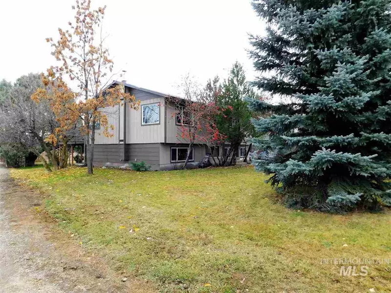 13 Lemhi Road, Salmon, ID 83467