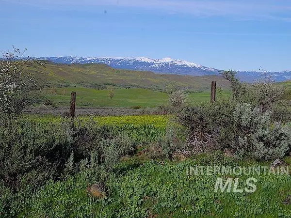 Council, ID 83612,TBD Goodrich Spur Road