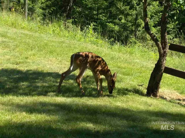 Clark Fork, ID 83811-9719,59150 Highway 200