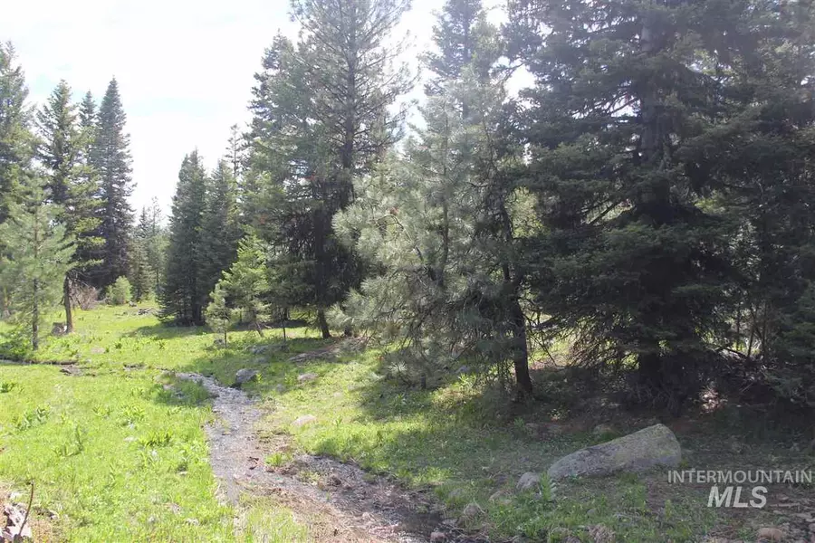 1925 Bear Basin, Mccall, ID 83638