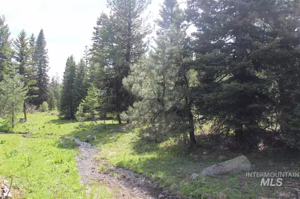 Mccall, ID 83638,1925 Bear Basin