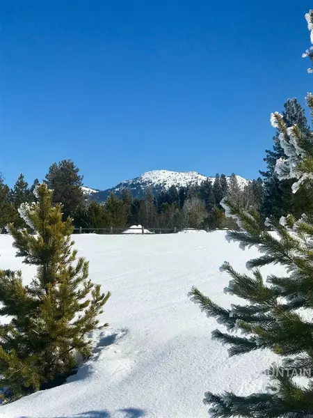 13767 Raptor Loop, Mccall, ID 83638