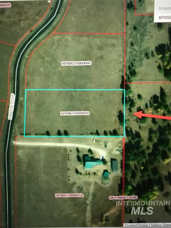 Mccall, ID 83638,13773 Raptor Loop