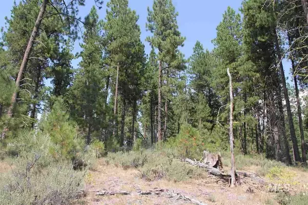 Cascade, ID 83611,1464 Crown Point Parkway