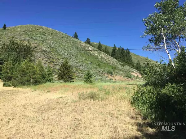 Fairfield, ID 83327-0000,Lot 4 M.A. Danielson Sub