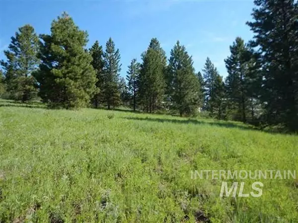 Idaho City, ID 83631,Lot 19 & 20 Meadow Dr