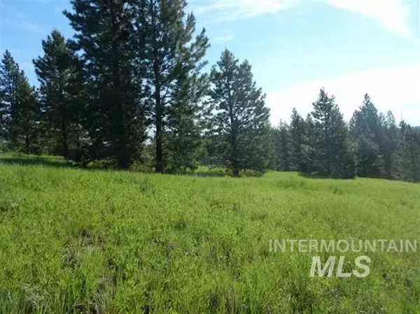 Idaho City, ID 83631,Lot 19 & 20 Meadow Dr