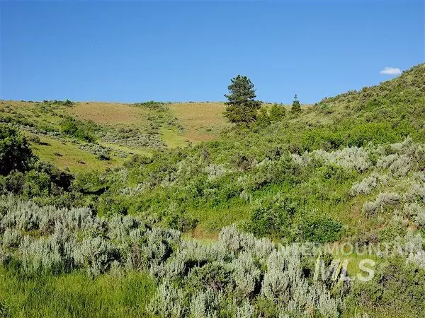 Council, ID 83612,2295 Middle Fork Road