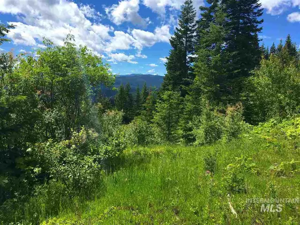 46 acres Cove Road, Grangeville, ID 83530