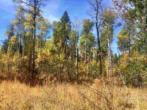 Mccall, ID 83638,TBD Knights Road