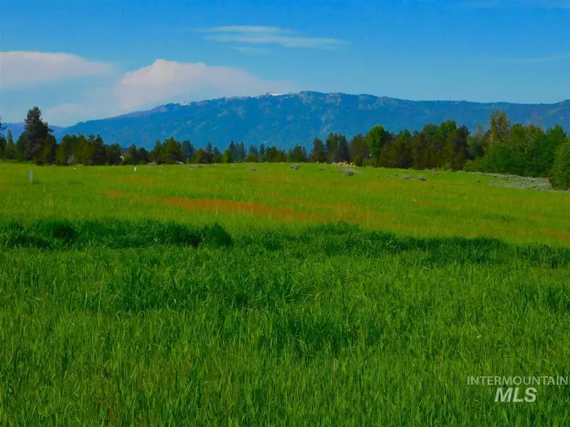 13776 Raptor Loop, Mccall, ID 83638