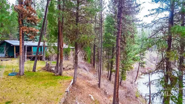 Lowman, ID 83637,37 Lewis Drive