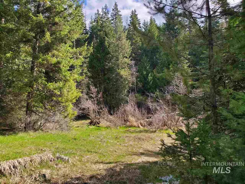 467 Dusty Lane, St. Maries, ID 83861