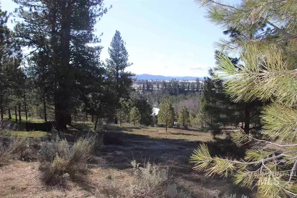 Mccall, ID 83638,L45 Valley Rim Rd