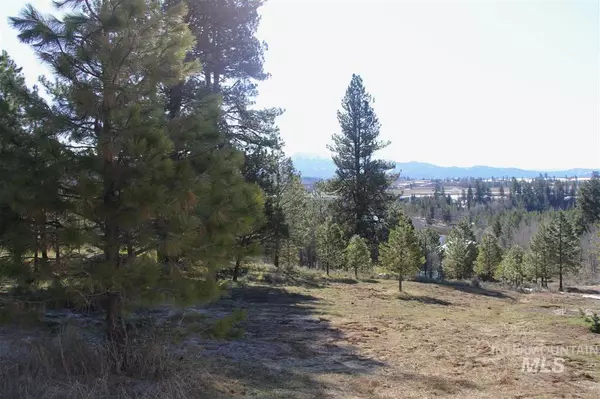 Mccall, ID 83638,L45 Valley Rim Rd