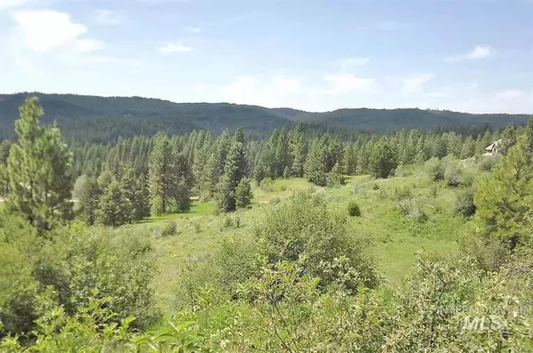 Lot 28 Meadow, Idaho City, ID 83631