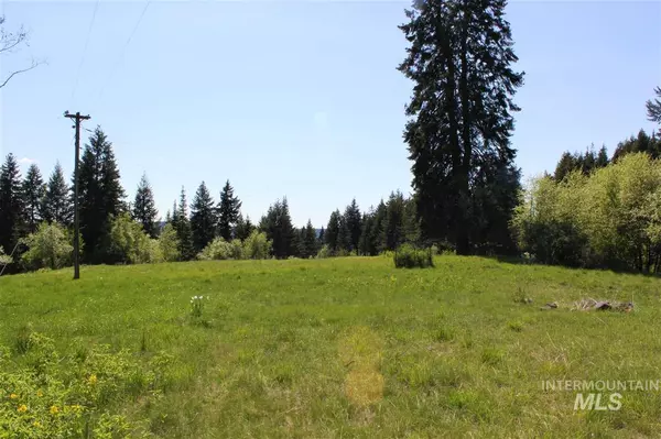 Orofino, ID 83544,1789 Tom Ho Road