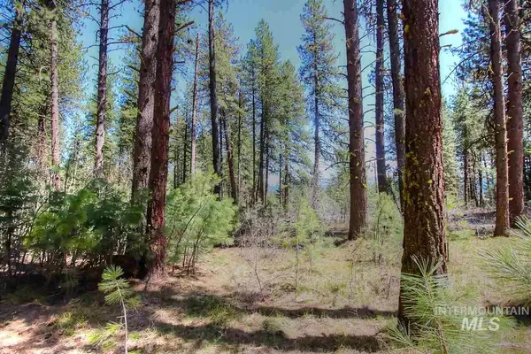 Mccall, ID 83638,1010 Elo Road