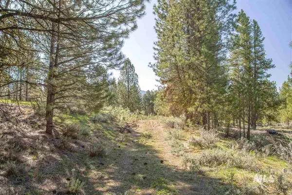 Cascade, ID 83611,12 Carey Way