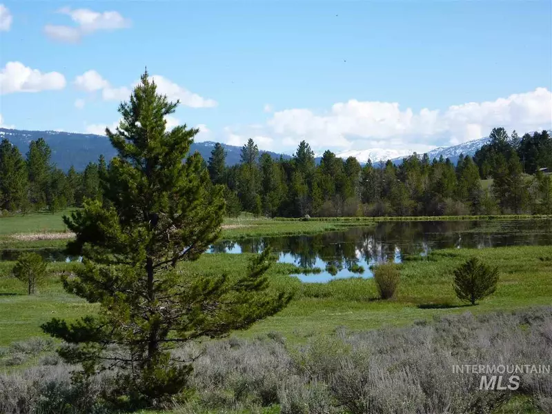 Tbd Buckcamp Lane, Mccall, ID 83638