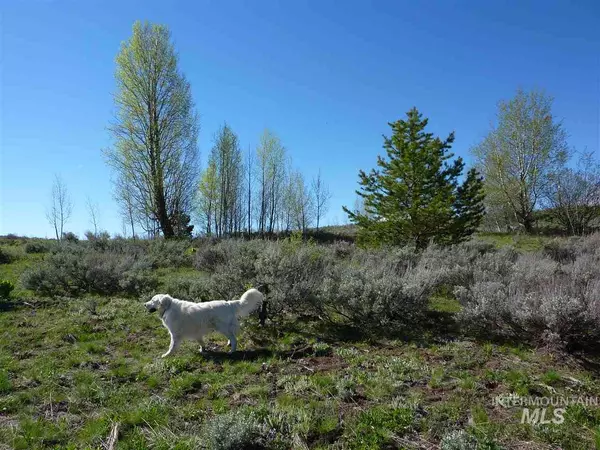 Mccall, ID 83638,Tbd Buckcamp Lane