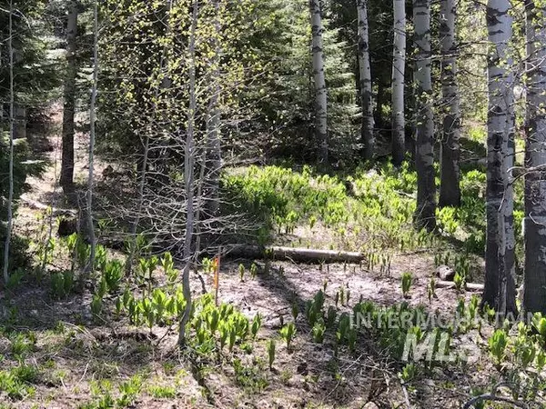 Mccall, ID 83638-9999,Lot 17 Majestic View Circle