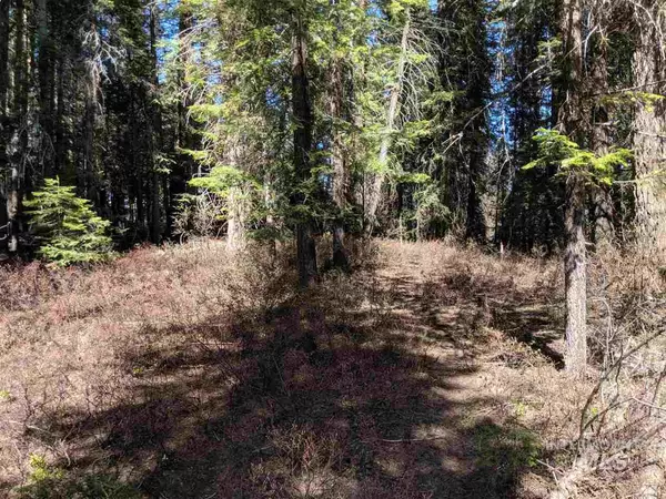 Mccall, ID 83638,TBD John Alden Rd