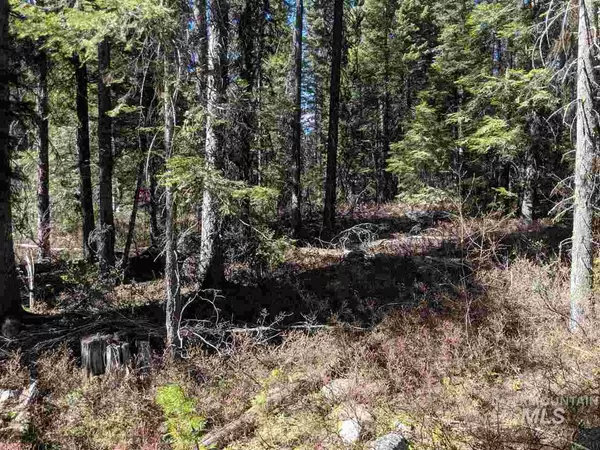 Mccall, ID 83638,TBD John Alden Rd