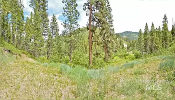 TBD Valley View Way, Lowman, ID 83637