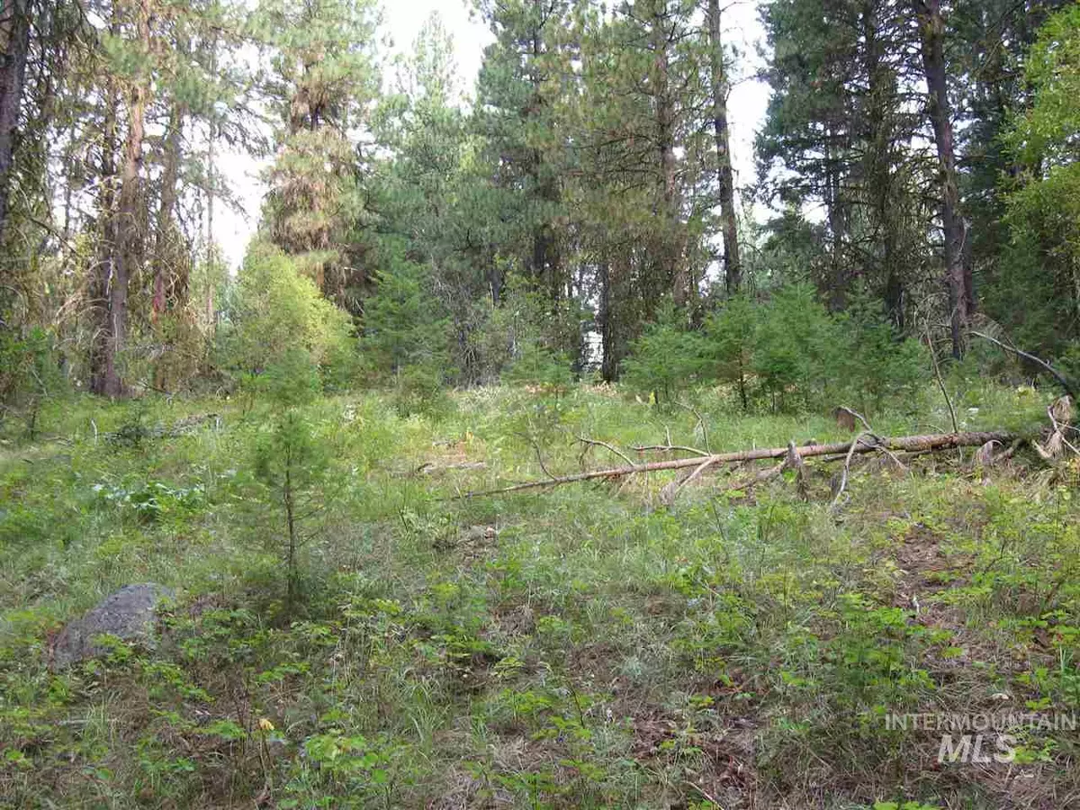 Cascade, ID 83657,62 Ranch Circle